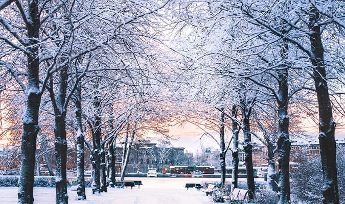 Parque em Estocolmo com Neve