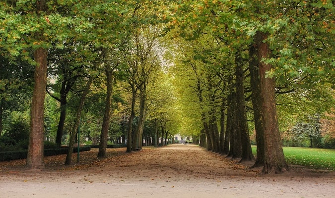 Área Verde em Bruxelas Foto
